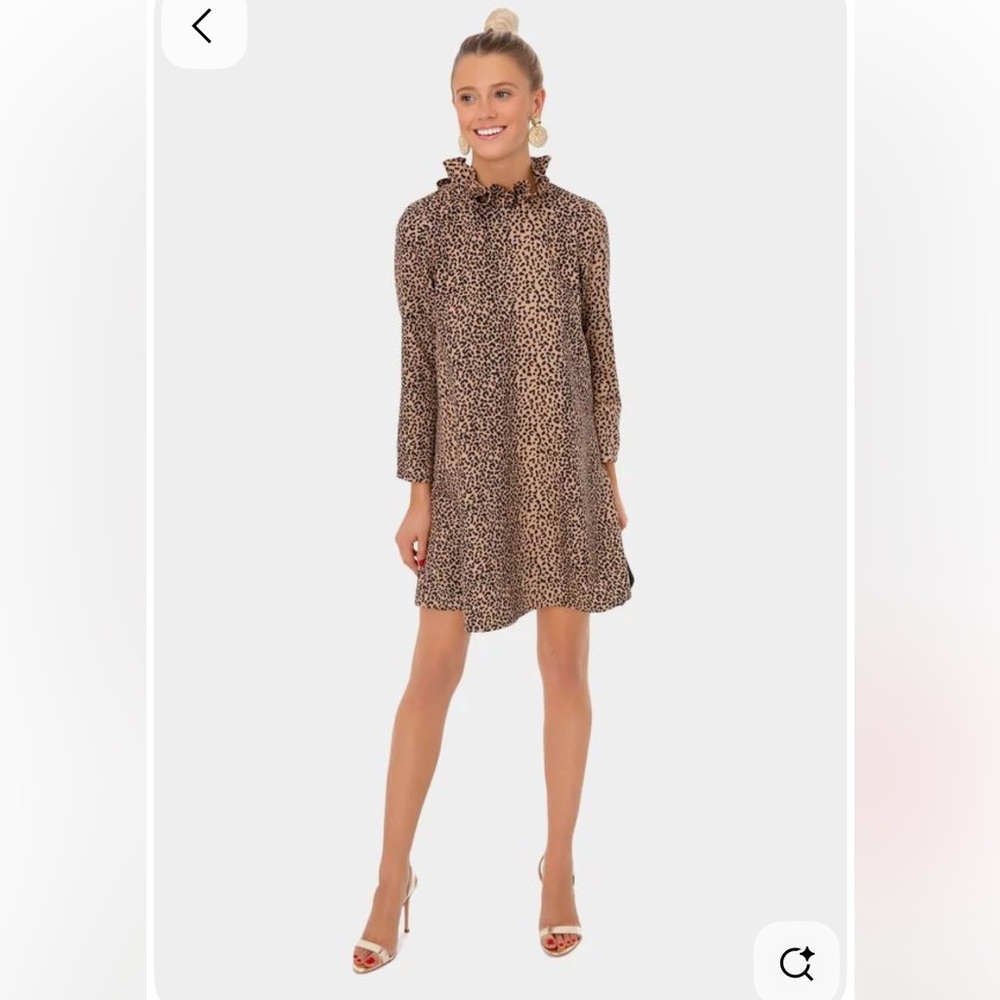 Tuckernuck Leopard Print Daphne Mini Dress - Brown. Size XS New with tags